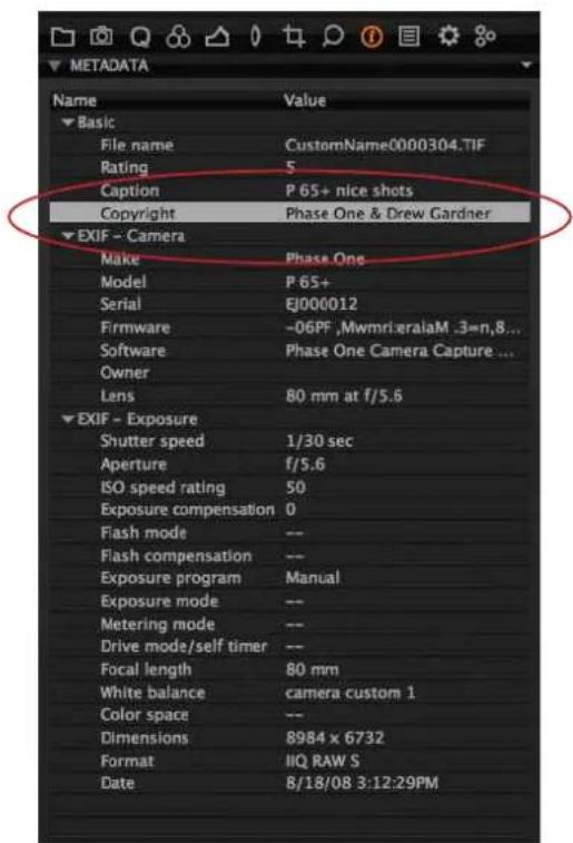 METADATA Name Value ▼ Basic File name CustomName0000304.TIF Rating 5 Caption P 65+ nice shots Copyright Phase One & Drew Gardner ▼ EXIF - Camera Make Phase One Model P 65+ Serial EJ000012 Firmware -06PF ,MwmrieralaM .3=n,8... Software Phase One Camera Capture ... Owner Lens 80 mm at f/5.6 ▼ EXIF - Exposure Shutter speed 1/30 sec Aperture f/5.6 ISO speed rating 50 Exposure compensation 0 Flash mode -- Flash compensation -- Exposure program Manual Exposure mode -- Metering mode -- Drive mode/self timer -- Focal length 80 mm White balance camera custom 1 Color space -- Dimensions 8984 x 6732 Format IIQ RAW S Date 8/18/08 3:12:29PM