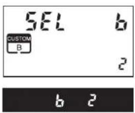SEL b CUSTOM B 2 b 2