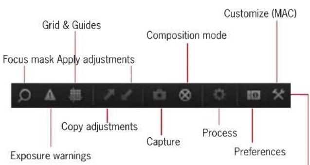 Grid & Guides Focus mask Apply adjustments Copy adjustments Exposure warnings Compression mode Capture Process Customize (MAC) Preferences
