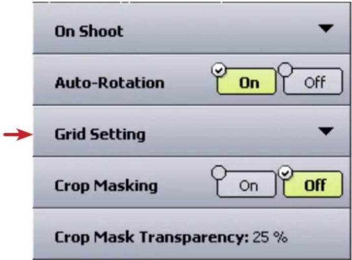 On Shoot Auto-Rotation On Off Grid Setting Crop Masking On Off Crop Mask Transparency: 25 %