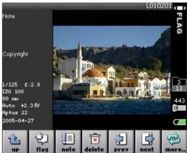 L010201 Note Copyright 1/125 £:2.8 ISO 100 80 mm Auto +2.3 EV Aptus 22 2005-04-27 3 13 443 up flag note delete prev next more..