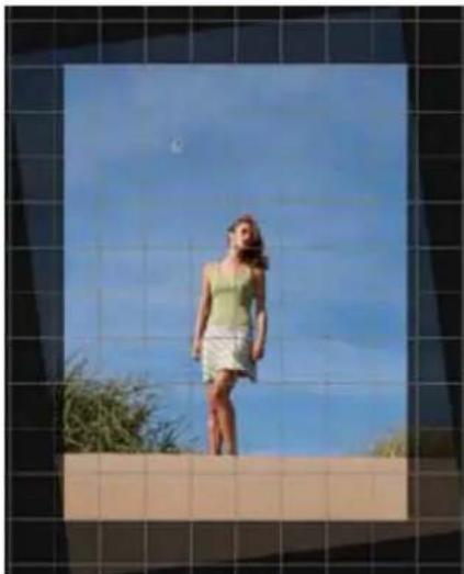 MAMIYA DM System - How to revert to the uncropped image - 3