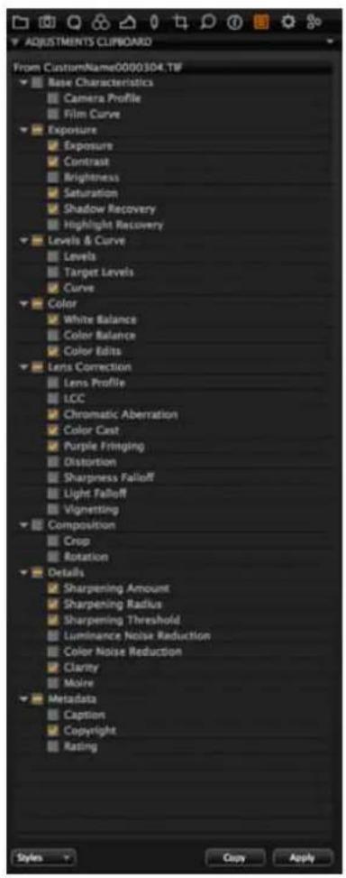 Adjustments Clipboard From CustomName0000304.TIF Base Characteristics Camera Profile Film Curve Exposure Exposure Contrast Brightness Saturation Shadow Recovery Highlight Recovery Levels & Curve Levels Target Levels Curve Color White Balance Color Balance Color Edits Lens Correction Lens Profile LCC Chromatic Aberration Color Cast Purple Fringing Distortion Sharpness Falloff Light Falloff Vignetting Composition Crop Rotation Details Sharpening Amount Sharpening Radius Sharpening Threshold Luminance Noise Reduction Color Noise Reduction Clarity Moire Metadata Caption Copyright Rating Styles Copy Apply