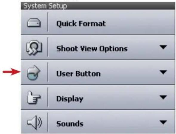 System Setup Quick Format Shoot View Options User Button Display Sounds