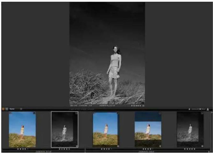 MAMIYA DM System - The settings inherited by a Variant from the original image - 1