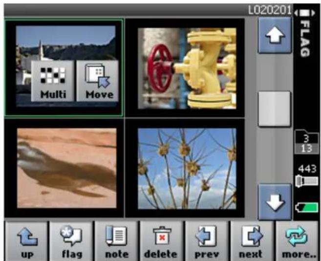L020201 FLAG Multi Move 3 13 443 up flag note delete prev next more...