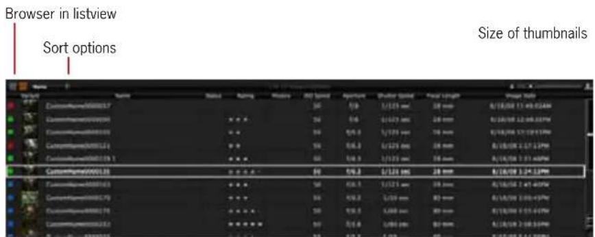 Browser in listview Sort options Size of thumbnails Name Status Position Position Alt Speed Extension Shorter Speed Final Length CustomMySpace0000137 50 1/8 1/125 sec 28 mm A/16/08 1:49-03AM CustomMySpace0000138 50 1/8 1/125 sec 28 mm A/16/08 1:29-03PM CustomMySpace0000139 50 0/4.3 1/125 sec 76 mm A/16/08 1:19-03PM CustomMySpace0000140 50 0/4.3 1/125 sec 28 mm A/16/08 1:17-12PM CustomMySpace0000141 50 0/4.3 1/125 sec 28 mm A/16/08 1:17-03PM CustomMySpace0000142 50 0/4.3 1/125 sec 28 mm A/16/08 1:17-03PM CustomMySpace0000143 50 0/4.3 1/125 sec 28 mm A/16/08 1:24-12PM CustomMySpace0000144 50 0/4.3 1/125 sec 28 mm A/16/08 1:41-42PM CustomMySpace0000145 50 0/4.3 1/125 sec 82 mm A/16/08 1:39-43PM CustomMySpace0000146 50 0/4.3 1,688 sec 82 mm A/16/08 1:55-43PM CustomMySpace0000147 50 0/4.3 1,688 sec 82 mm A/16/08 1:55-43PM CustomMySpace0000148 50 0/4.3 1,688 sec 82 mm A/16/08 1:55-43PM