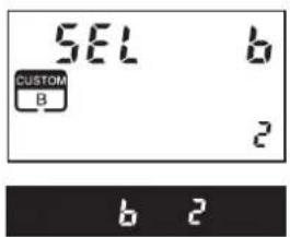 SEL b CUSTOM B 2 b 2