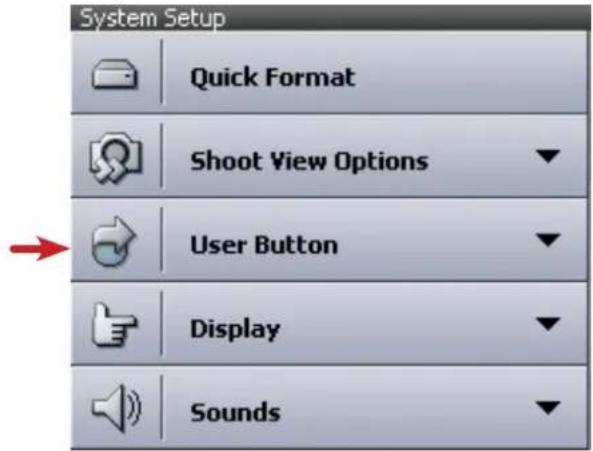 System Setup Quick Format Shoot View Options User Button Display Sounds