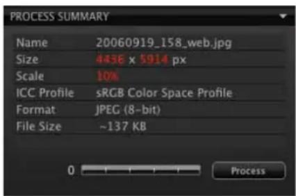 PROCESS SUMMARY Name 20060919_158_web.jpg Size 443E x 5914 px Scale 10% ICC Profile sRGB Color Space Profile Format JPEG (8-bit) File Size ~137 KB 0 Process