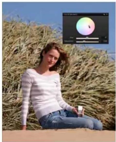 MAMIYA DM System - 'S' Saturation - 2