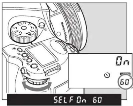 Machine Scales On 60° SELF On 60