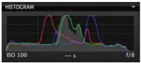 MAMIYA DM System - The color space of the histograms - 2