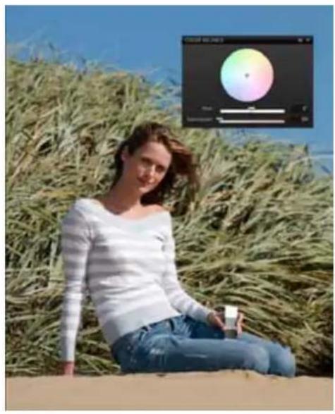 MAMIYA DM System - 'S' Saturation - 1