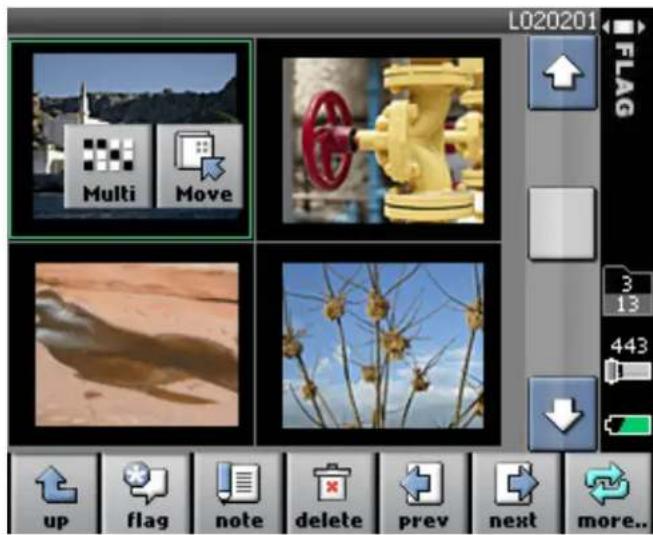 L020201 FLAG Multi Move 3 13 443 up flag note delete prev next more..