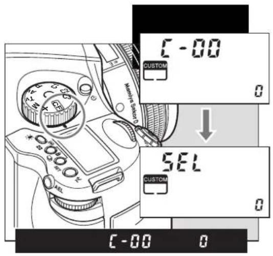 C-00 CUSTOM 0 Methyl Select SEL CUSTOM 0 C-00 0