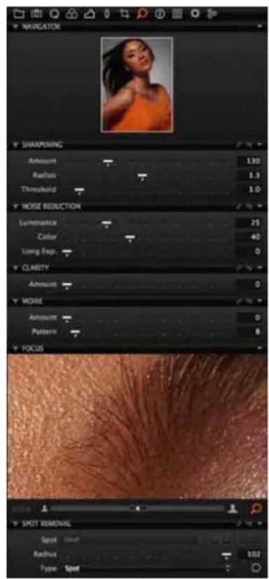 NAVIGATION SHARPENING Amount 130 Radius 1.3 Threshold 1.0 NOISE REDUCTION Luminance 25 Color 40 Long Exp 0 CLARITY Amount 0 MOISE Amount 0 Pattern 8 FOCUS SPOT REMOVAL Spot limit Radius 102 Type Spot