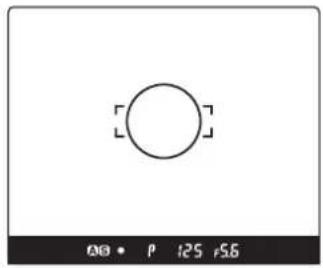 MAMIYA DM System - FOCUS AREA - 2