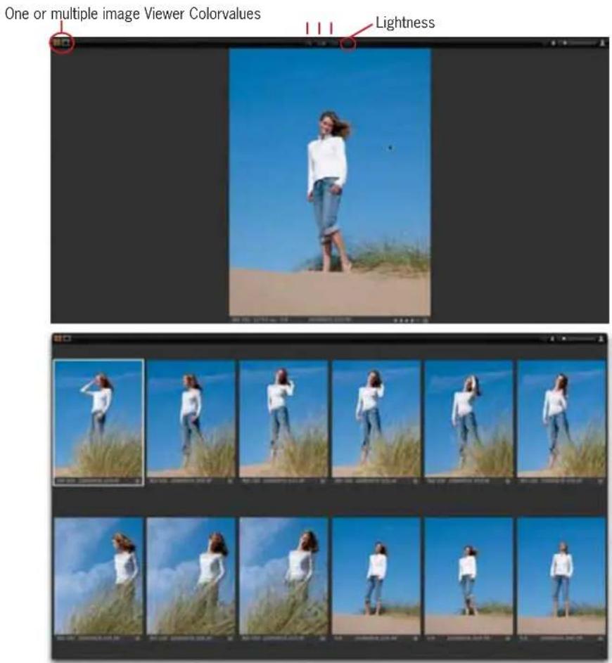 One or multiple image Viewer Colorvalues Lightness