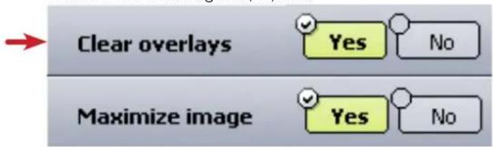 Clear overlays Yes No Maximize image Yes No