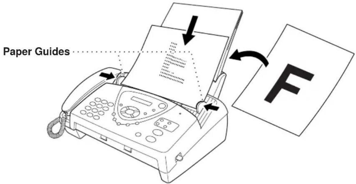 Paper Guides F