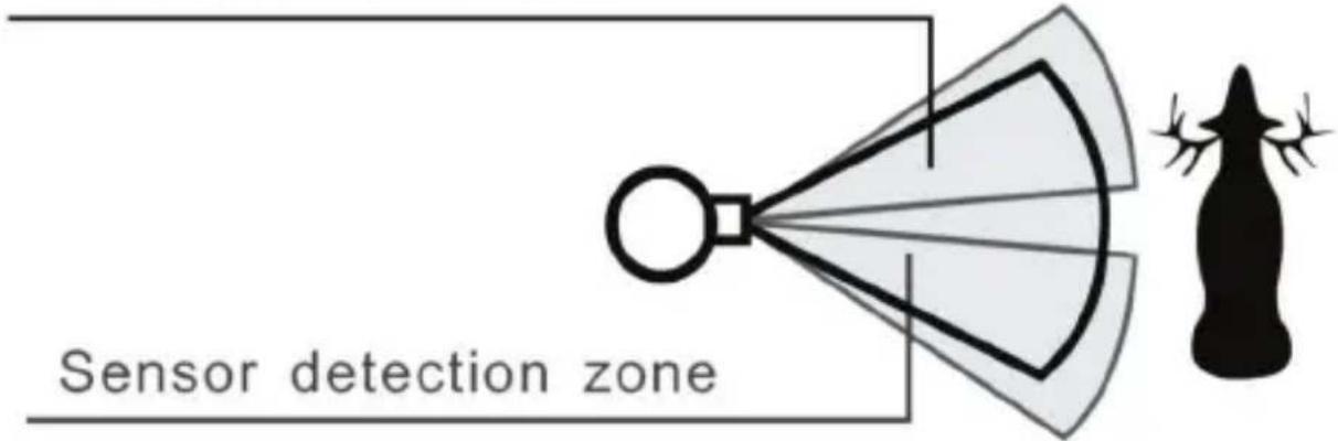 Sensor detection zone