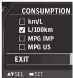 CONSUMPTION □ km/L ✓ L/100km □ MPG IMP □ MPG US EXIT ▲▼SEL SET