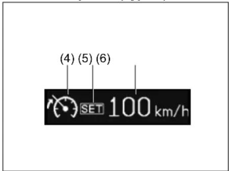 (4) (5) (6) SET 100 km/h