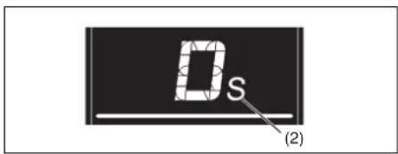 D_S (2)