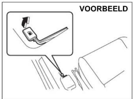 VOORBEELD
