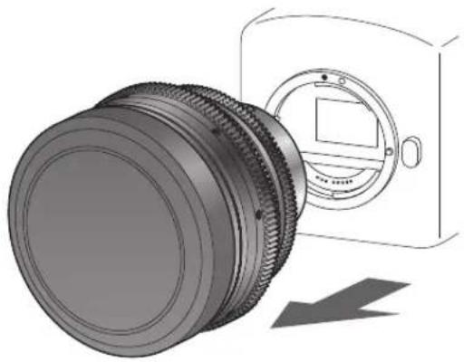 CANON CN-E20mm T1.5 L F - 卸下镜头 - 1