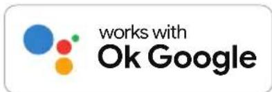 works with Ok Google