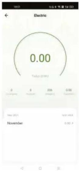 Electric 0.00 Today (2019) 0 0 2016 0:50 Disiniging mming November New 2019 November 0.00 P