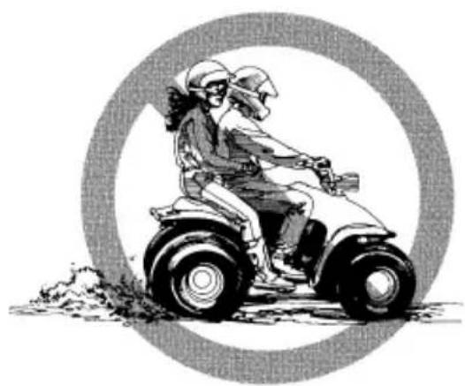 SUZUKI LT-Z90 (2019) - WAARSCHUWIN - 1