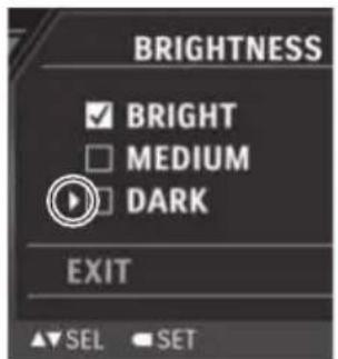 BRIGHTNESS ✓ BRIGHT □ MEDIUM □ DARK EXIT ▲▼ SEL SET