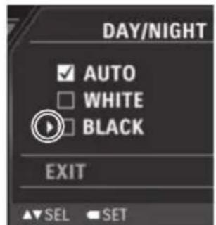 DAY/NIGHT ✓ AUTO □ WHITE ● BLACK EXIT ▼SEL SET