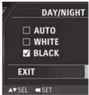 DAY/NIGHT AUTO WHITE BLACK EXIT SEL SET