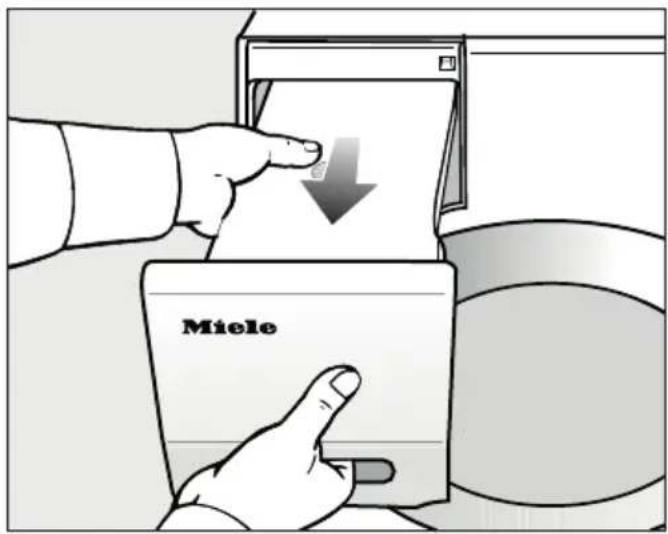 Miele
