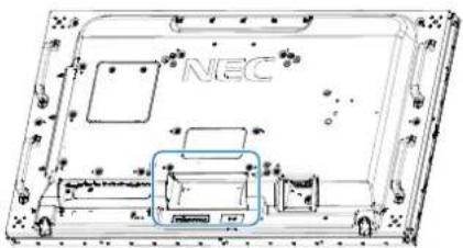 NEC