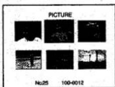 PICTURE No.25 100-0012