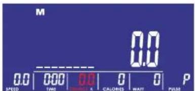 M 0.0 0.0 0.0 0.0 0.0 P SPEED TIME 0.0 0 0 CALORIES WAIT PULSE