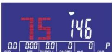 75 146 0.0 000 0.0 0 0 P SPEED TIME DISTANCE 4 CALORIES WAIT PULSE