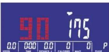 90 175 0.0 000 0.0 0 0 P SPEED TIME DISTANCE x CALORIES WATI PULSE
