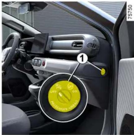 RENAULT Twingo E-Tech Electric (2025) - GEVAAR - 2