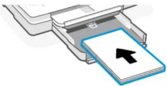 HP ENVY Photo 7230 - Om papier met standaardformaat te laden - 4