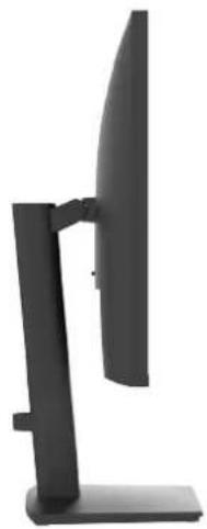 DELL E2426HB - Side view - 1