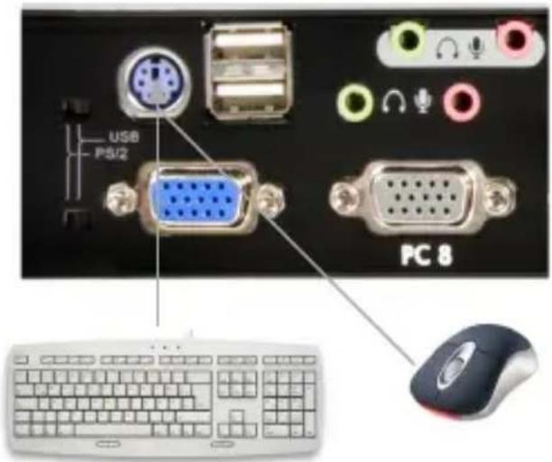 StarTech.com SV831DUSBA - Device Connection - 2