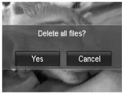 AGFA AP Compact 103 - To delete all files: - 1