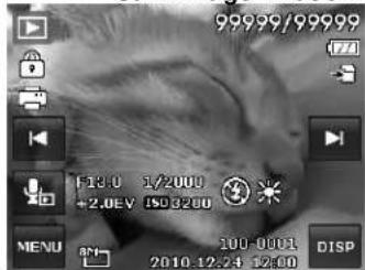 AGFA AP Compact 103 - Viewing in Single Navigation Mode - 1