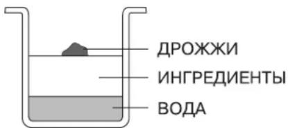 ДРОЖЖИ ИНГРЕДИЕНТЫ ВОДА